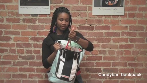 Timbuk2 Candybar iPad/iPad2/Netbook Backpack  - image 6 from the video
